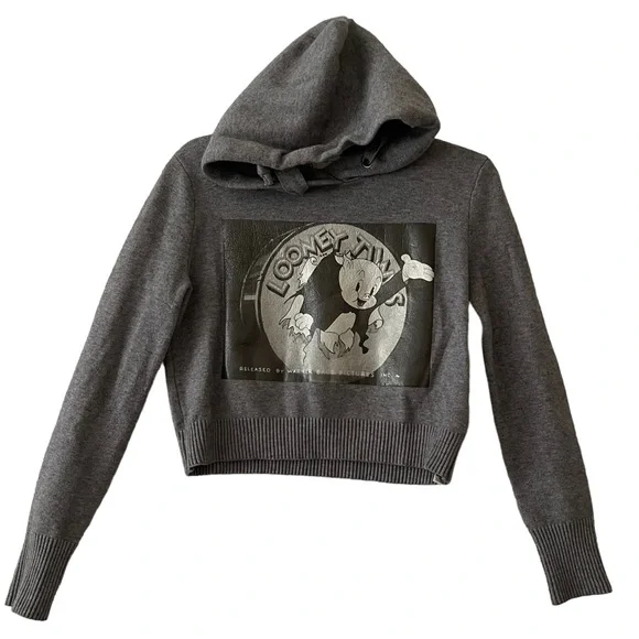 Zara Tops Looney Tunes Zara Size Small Cropped Hoodie